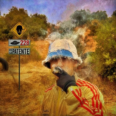 228 en la Patente
