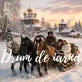 Drum de iarnă