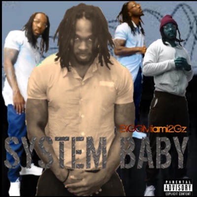 System Baby