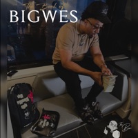 The Book of BIGWES - BIGWES