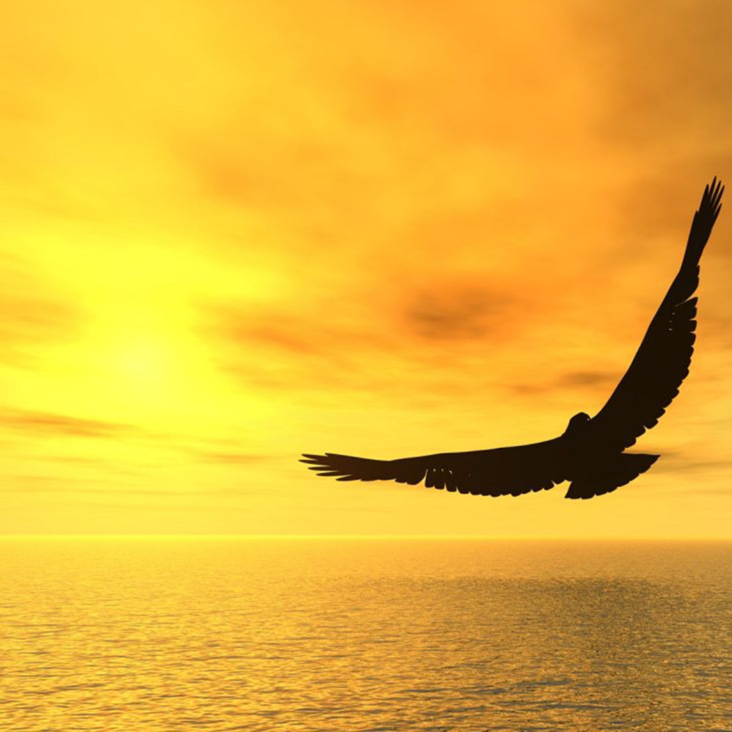 Jose Miguel - Single