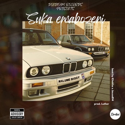 Suka Emabozeni - Single