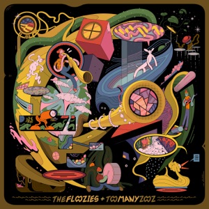 Too Many Flooz - Single