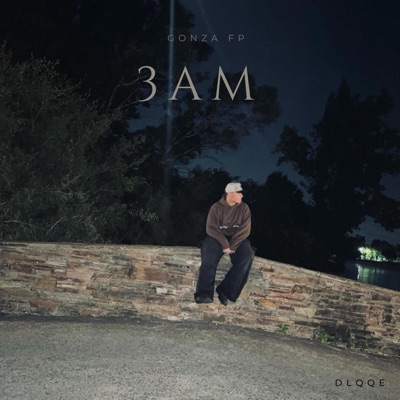 3 AM (feat. Moli) - Single