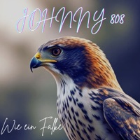 Wie ein Falke - Single - johnny 808