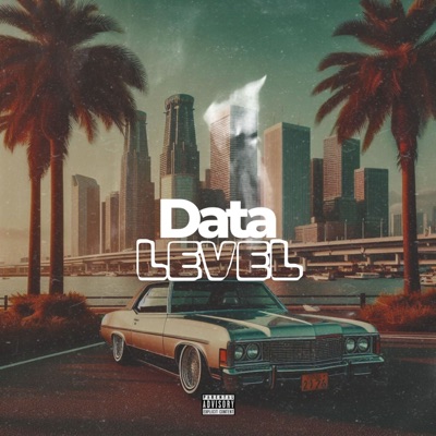Data Level - Single