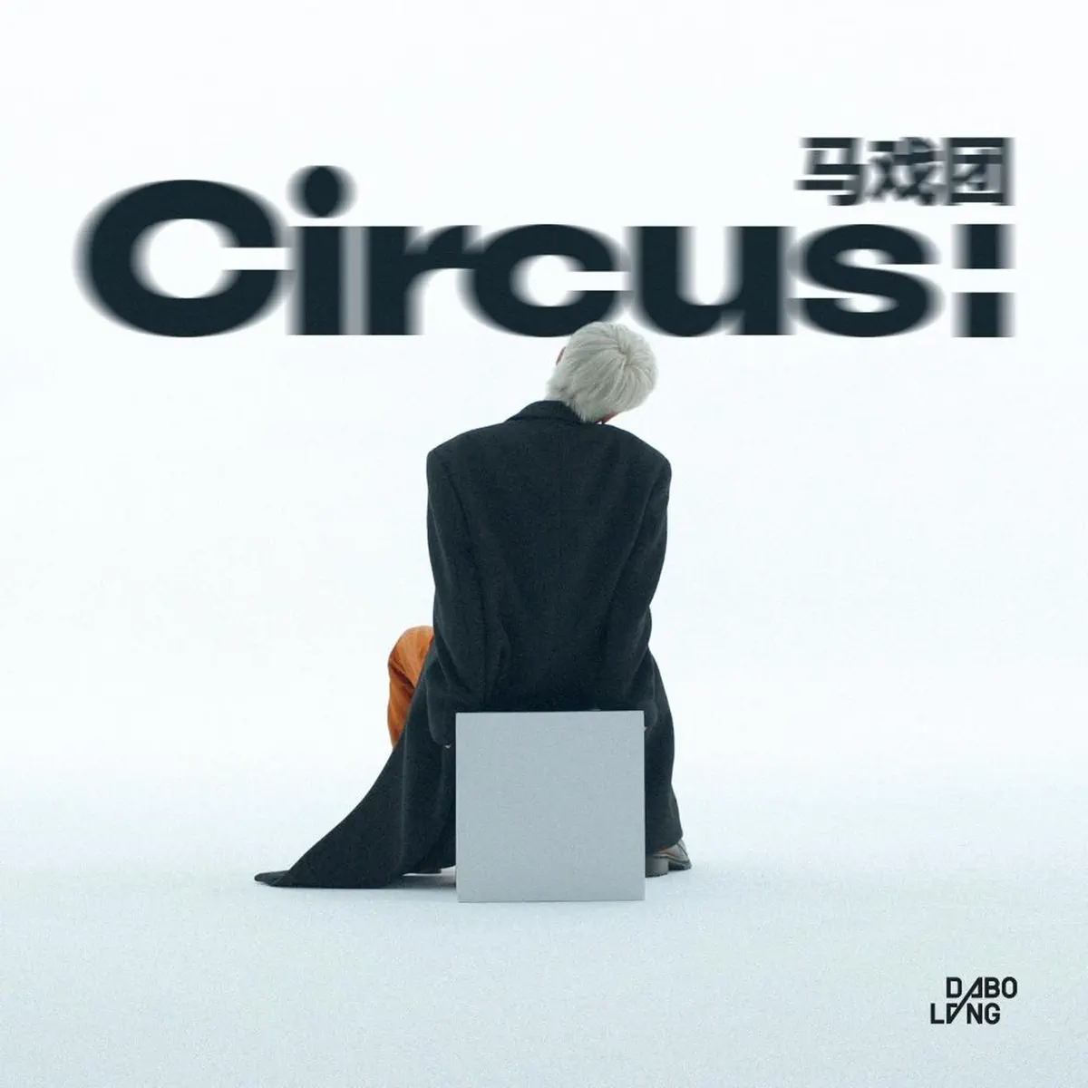 大波浪 - 马戏团 (2024) [iTunes Plus AAC M4A]-新房子
