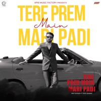 Tere Prem Main Mari Padi (feat. Preet Mohit) - Single - Meet Bhuker & Payal Barman