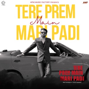 Tere Prem Main Mari Padi (feat. Preet Mohit)