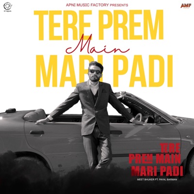 Tere Prem Main Mari Padi (feat. Preet Mohit) - Single
