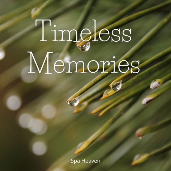 Timeless Memories