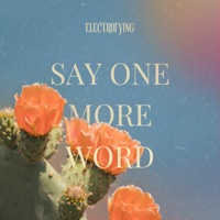 Say One More Word - Single - Electrofying