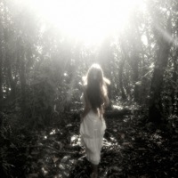 dream - Single - DHA369