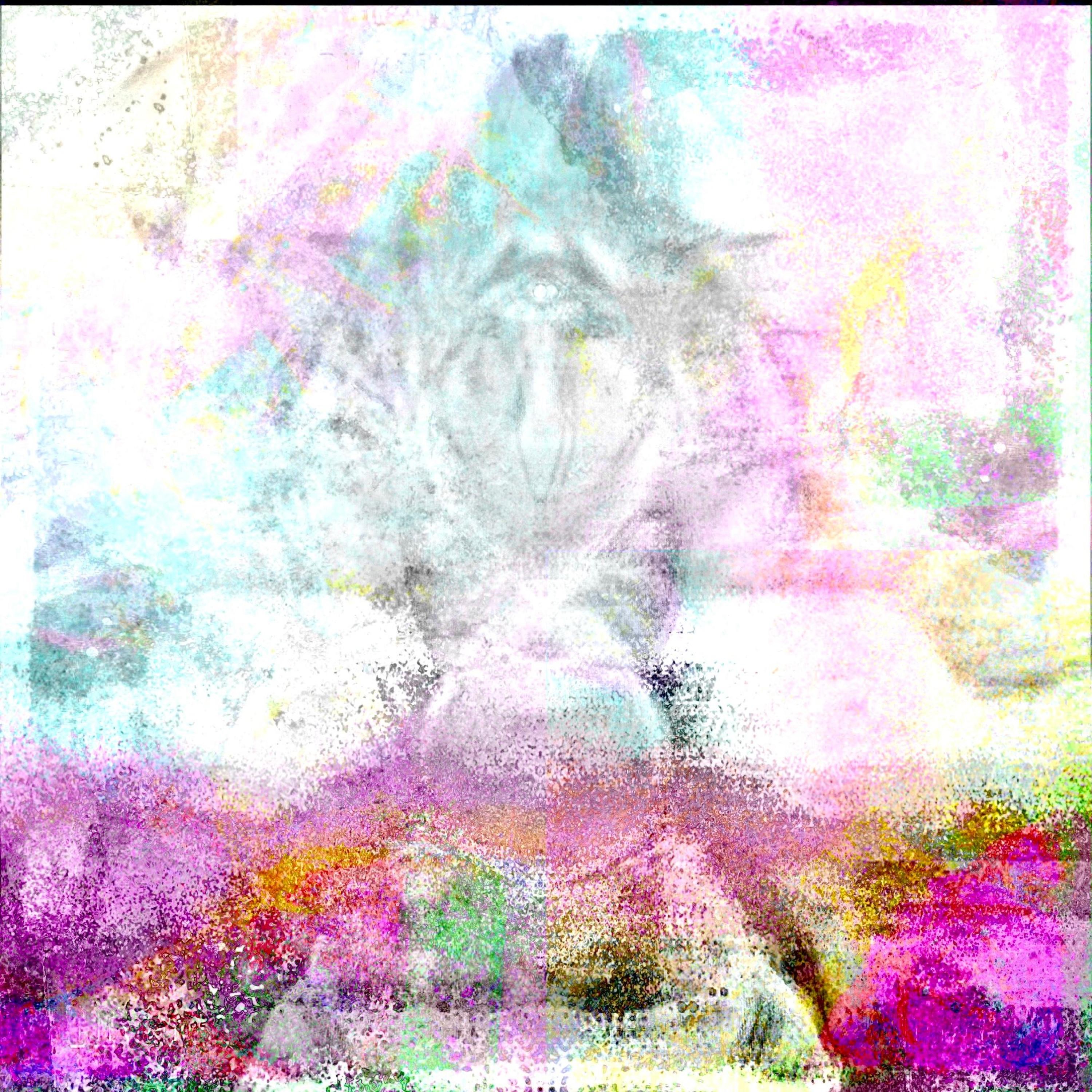Halo - Single
