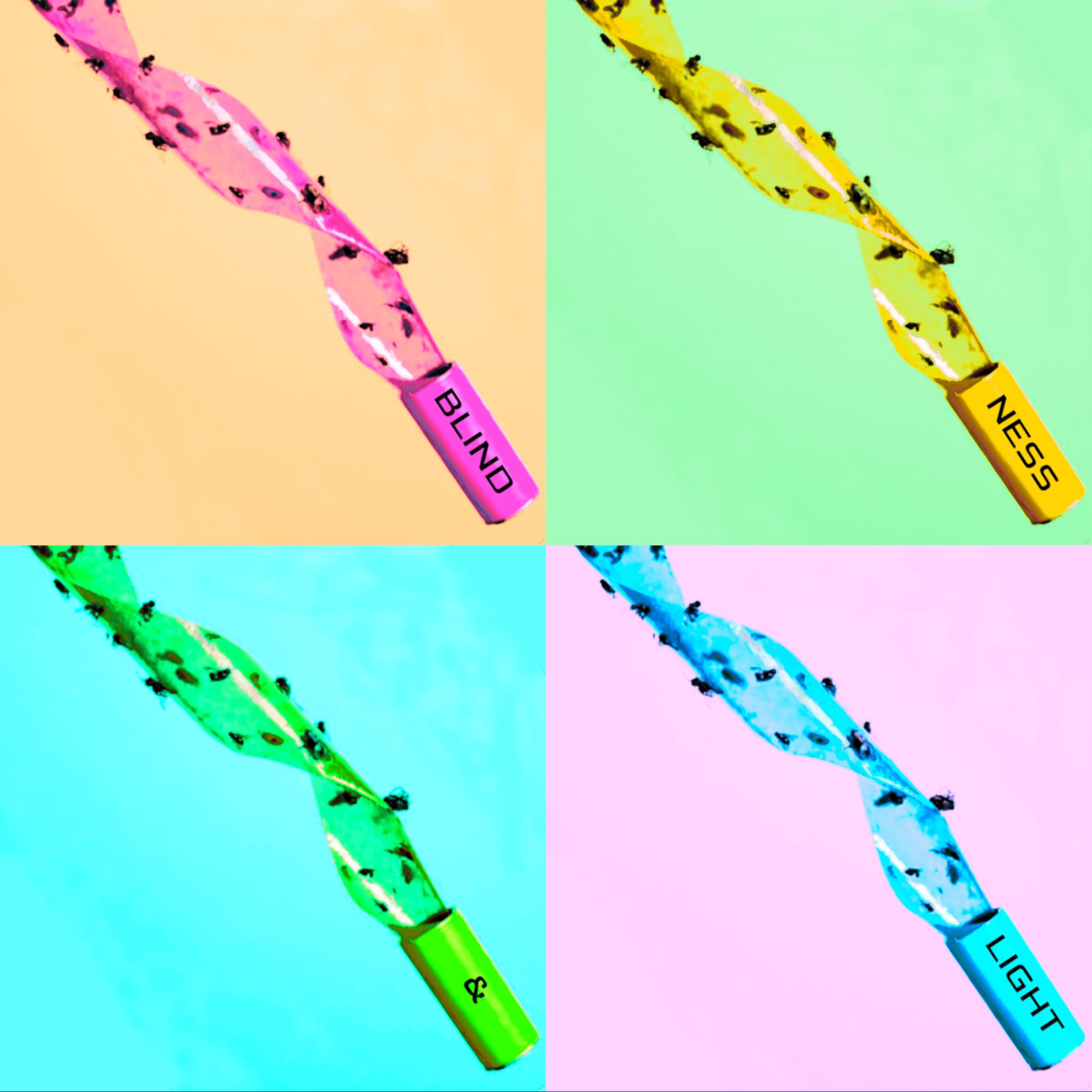 Fly Paper (feat. Henry Priestman & Rob Griffiths) - Single