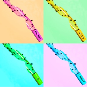 Fly Paper (feat. Henry Priestman & Rob Griffiths) - Single