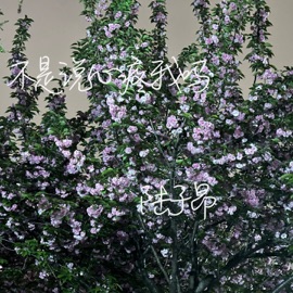 不是说心疼我吗 陆子昂