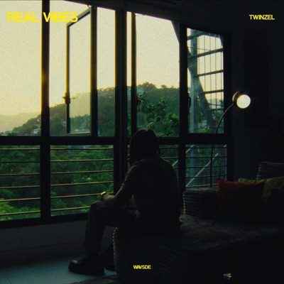 Real Vibes - Single