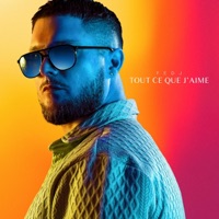 TOUT CE QUE J'AIME - Fedj