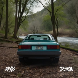 WYB D3ION
