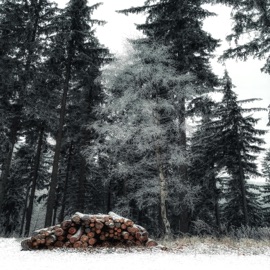 The Attic (feat. DJ Blue) Elyon Kai One