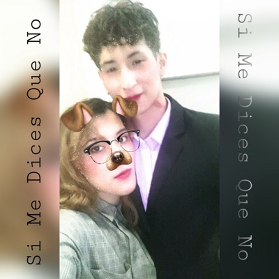 Si Me Dices Que No - Single