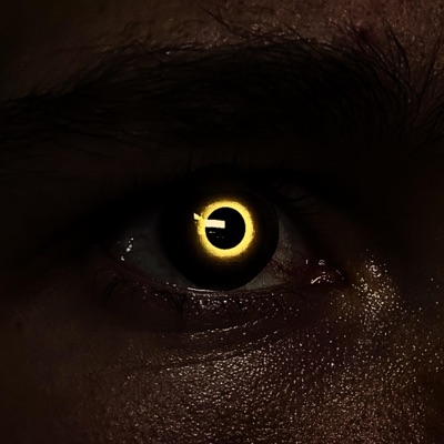 AFTER THE ECLIPSE (DID YOU FIND WHAT YOU SEEK?)