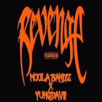 REVENGE (feat. YUNG DAVII) - Single - MOOLA BANDZ