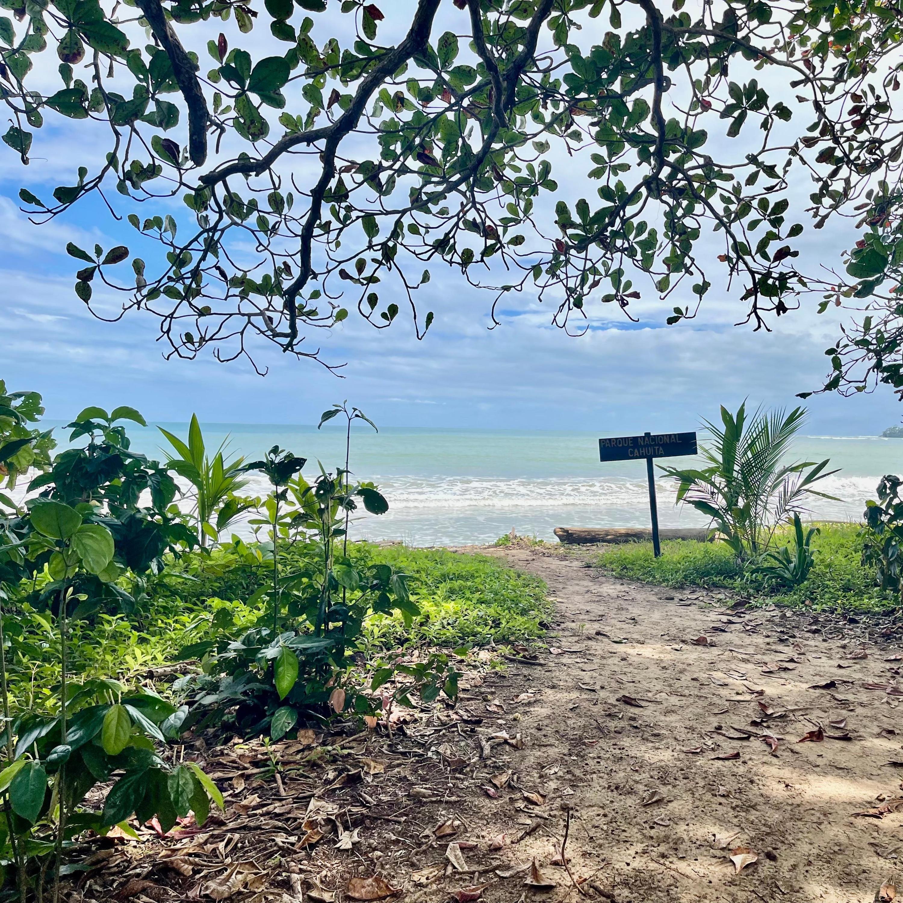 Las Olas del Mar - Single