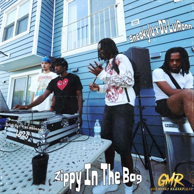 Zippy In The Bag (2025) (feat. DjLulronn) - Single