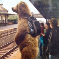 K9LLxARP (feat. ARPsweatpants) - Single - K9LLmikey