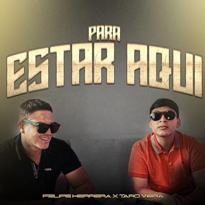 Para Estar Aquí - Single