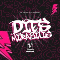 Dies Mirabilis (feat. Mc Thay RJ) - Single - MC PR