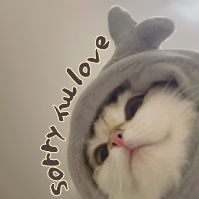 Sorry My Love - Single