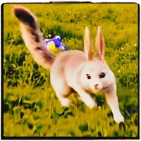 שיהא בי את האומץ רמיקס (feat. Meitarai) - Single - Guy Shwartz