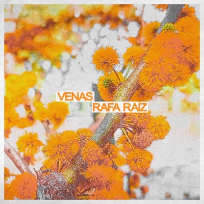 Venas (feat. Silvina Gómez) - Single