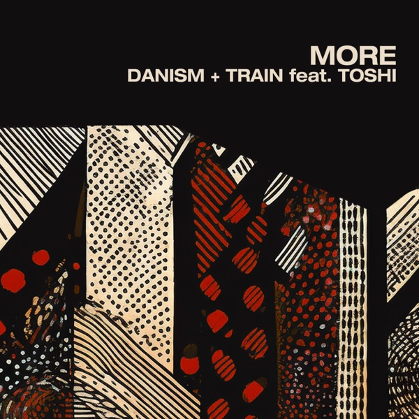 More (feat. Toshi) - Single