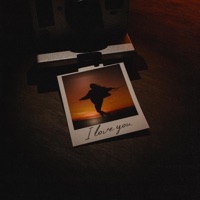 Photograph - Single - Aux Sauce & sindr