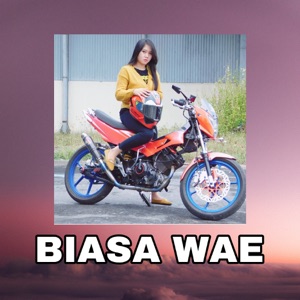 Biasa Wae Album Art