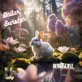 Heartsease