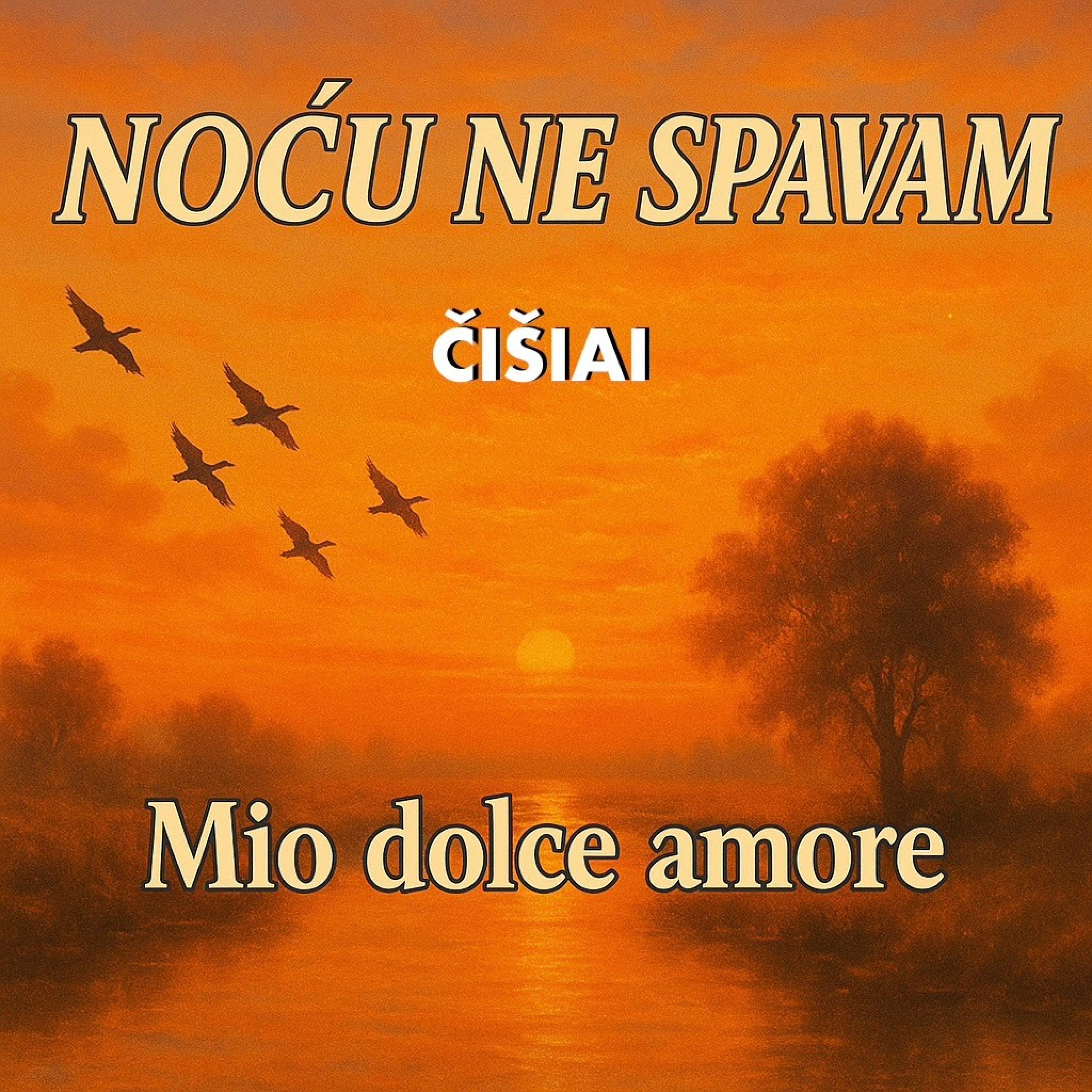 Noću ne spavam - Single