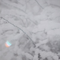 Subliminal - Single - Kooma