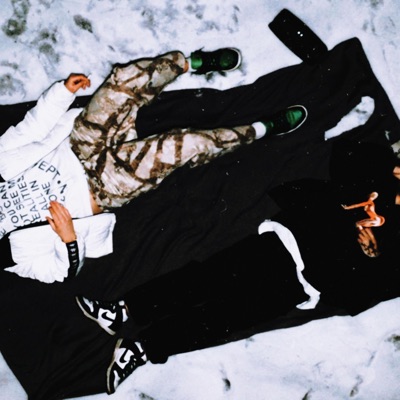 ZZZ (feat. PIGLUSS, Spiter, Nikola Halasz & GoldfinchBeats) - Single