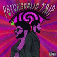 Psychedelic Trip - Single - Dracsoul & Official Bhagat