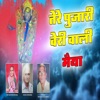 Tere Pujari Beri Wali Maiya - Single