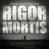 Rigor Mortis (Club Version) - Single - SPANKTHENUN