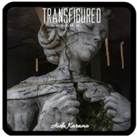Transfigured - Aida Karamo
