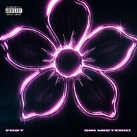Sin Misterio - Single - FOST & Donner