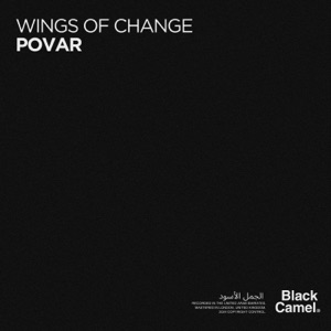 Wings of Change - Single