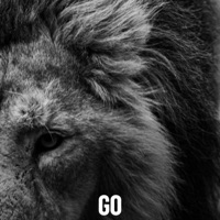 Go (feat. Gator & Jim Calhoun) - Single - Ollie Morrison